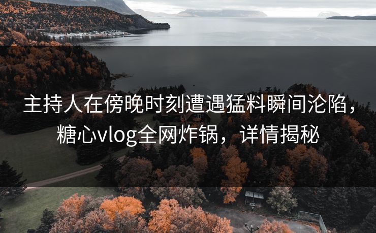 主持人在傍晚时刻遭遇猛料瞬间沦陷，糖心vlog全网炸锅，详情揭秘