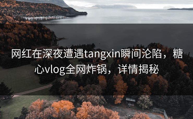 网红在深夜遭遇tangxin瞬间沦陷，糖心vlog全网炸锅，详情揭秘