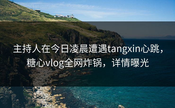 主持人在今日凌晨遭遇tangxin心跳，糖心vlog全网炸锅，详情曝光